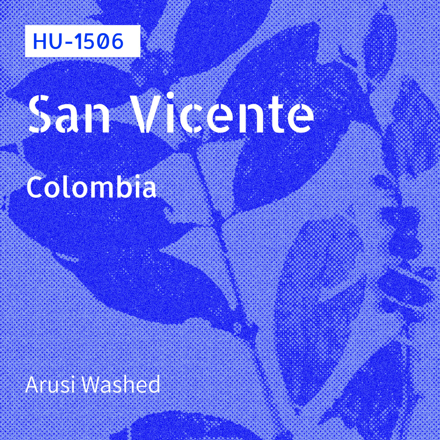 HU-1506 / Arusi / Washed