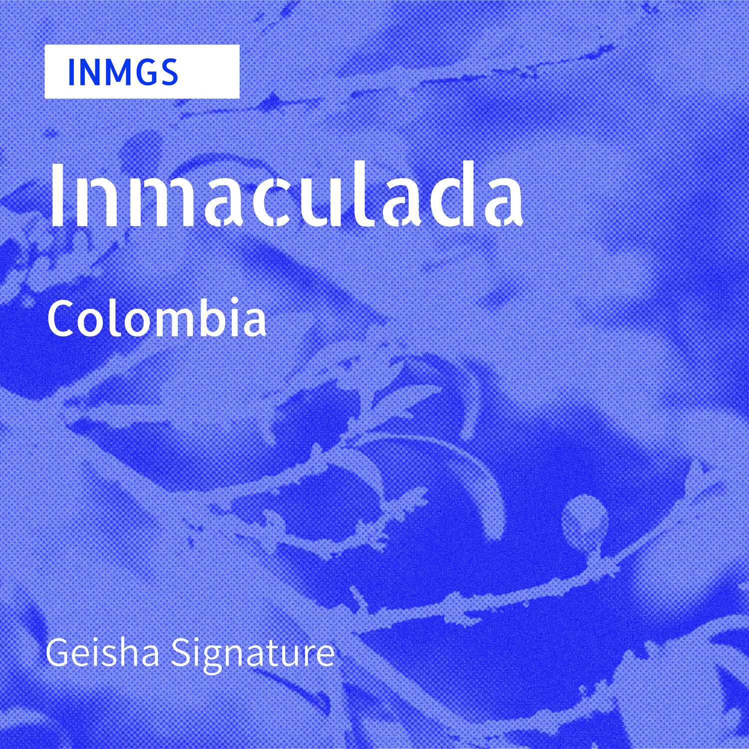 INMGS / Geisha / Natural