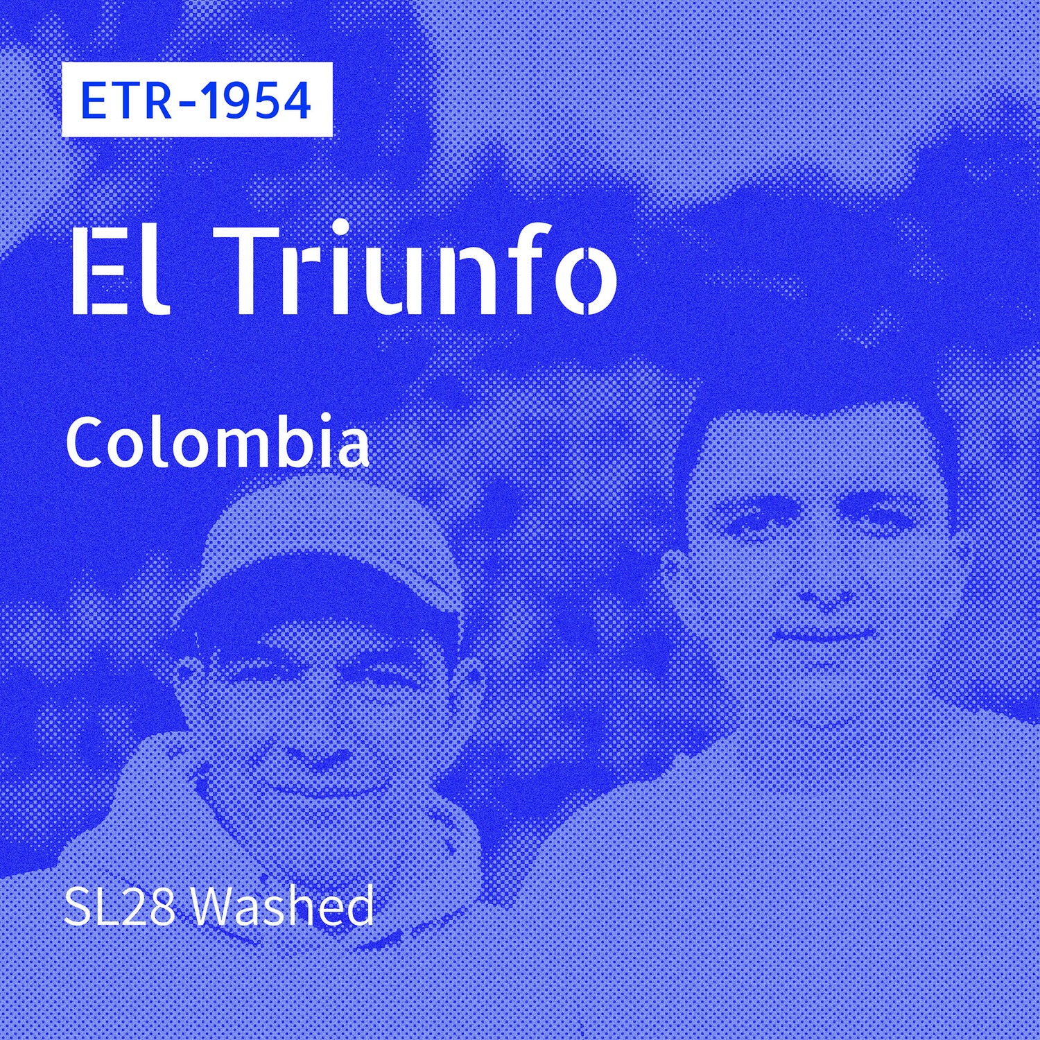 ETR - 1954/ SL28 / Mosto Washed