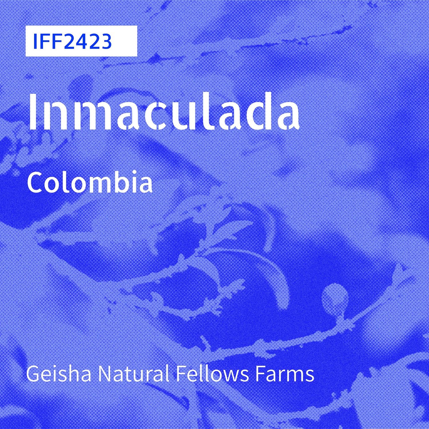 IFF-2423 / Geisha / Natural