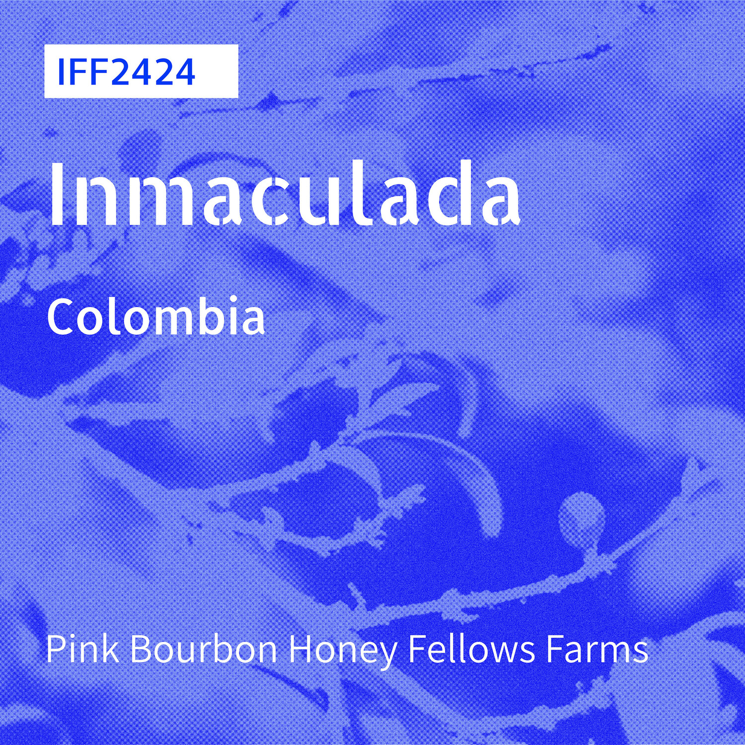 IFF-2424 / Pink Bourbon / Honey