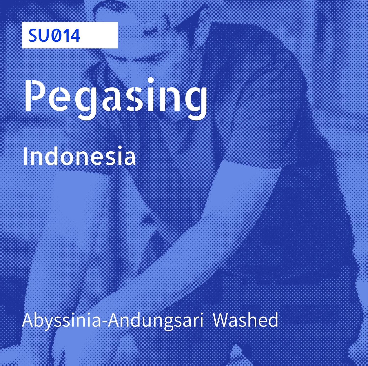 SU-014 / Abyssinia,Andungsari / Washed