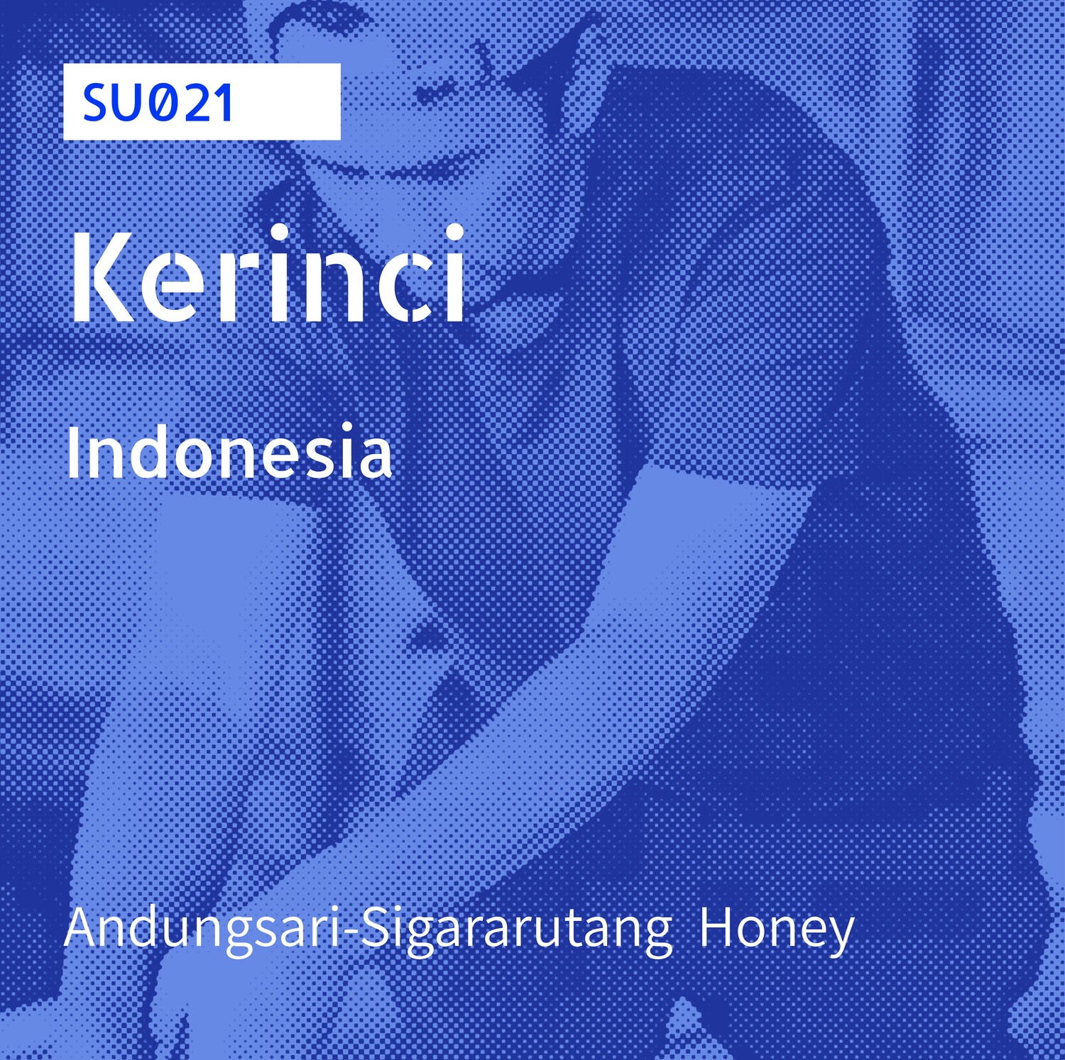 SU-021 / Andungsari,Sigararutang / Honey