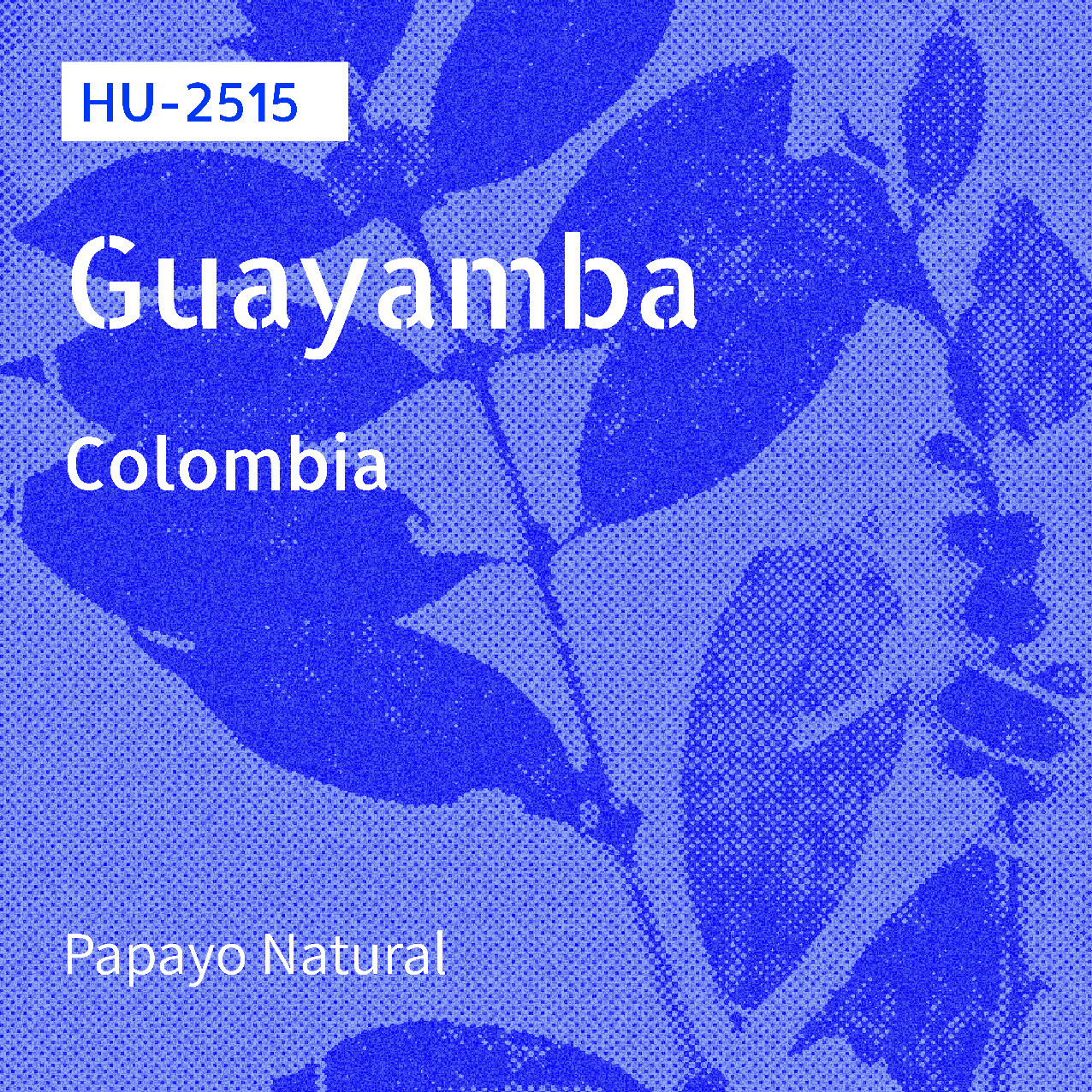 HU-2515 / Papayo / Anaerobic Natural