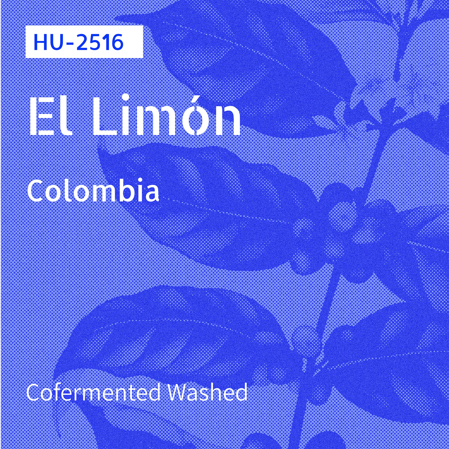 HU-2516 / 다수 품종 혼합 / Co-Fermented Washed