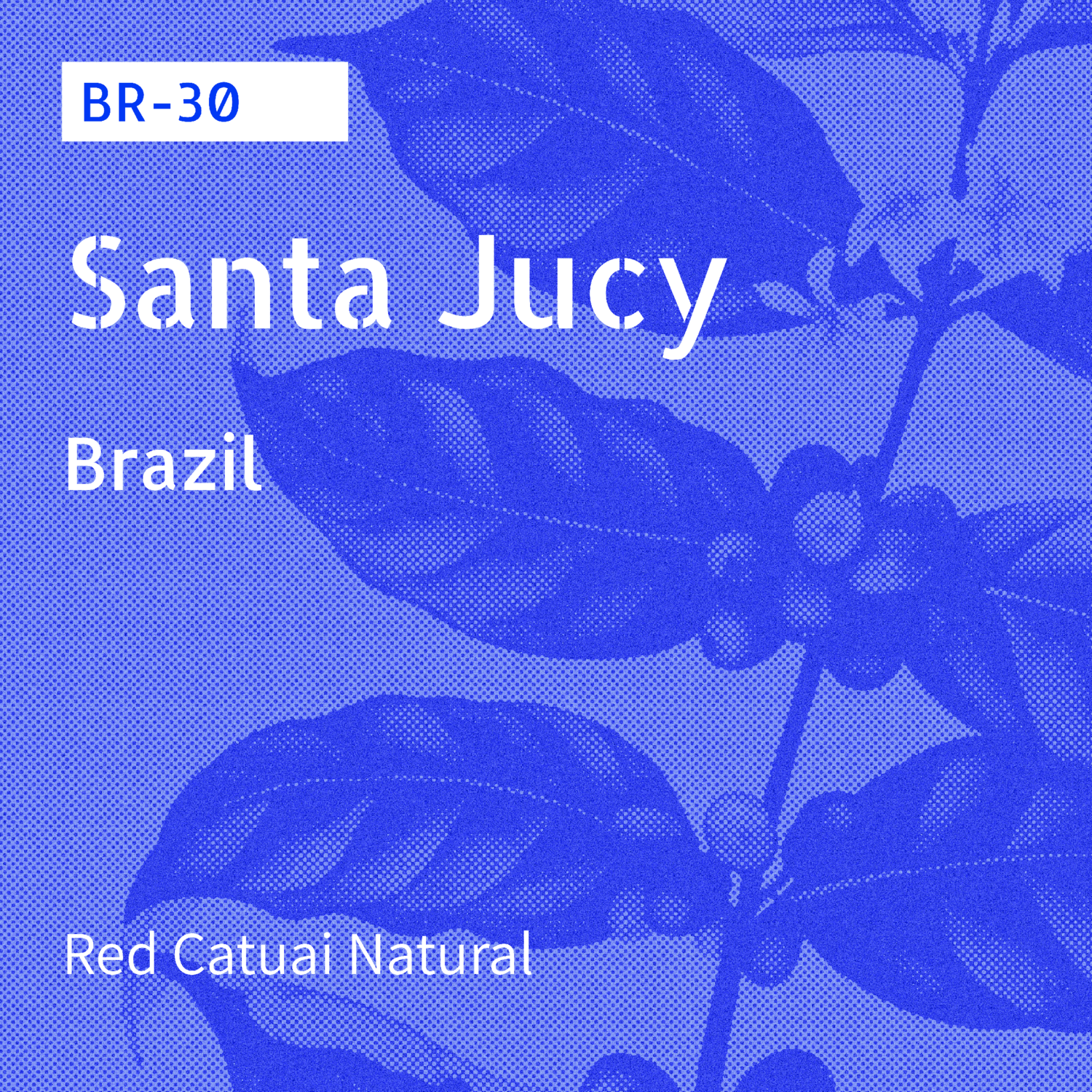BR-30 / Red Catuai / Natural