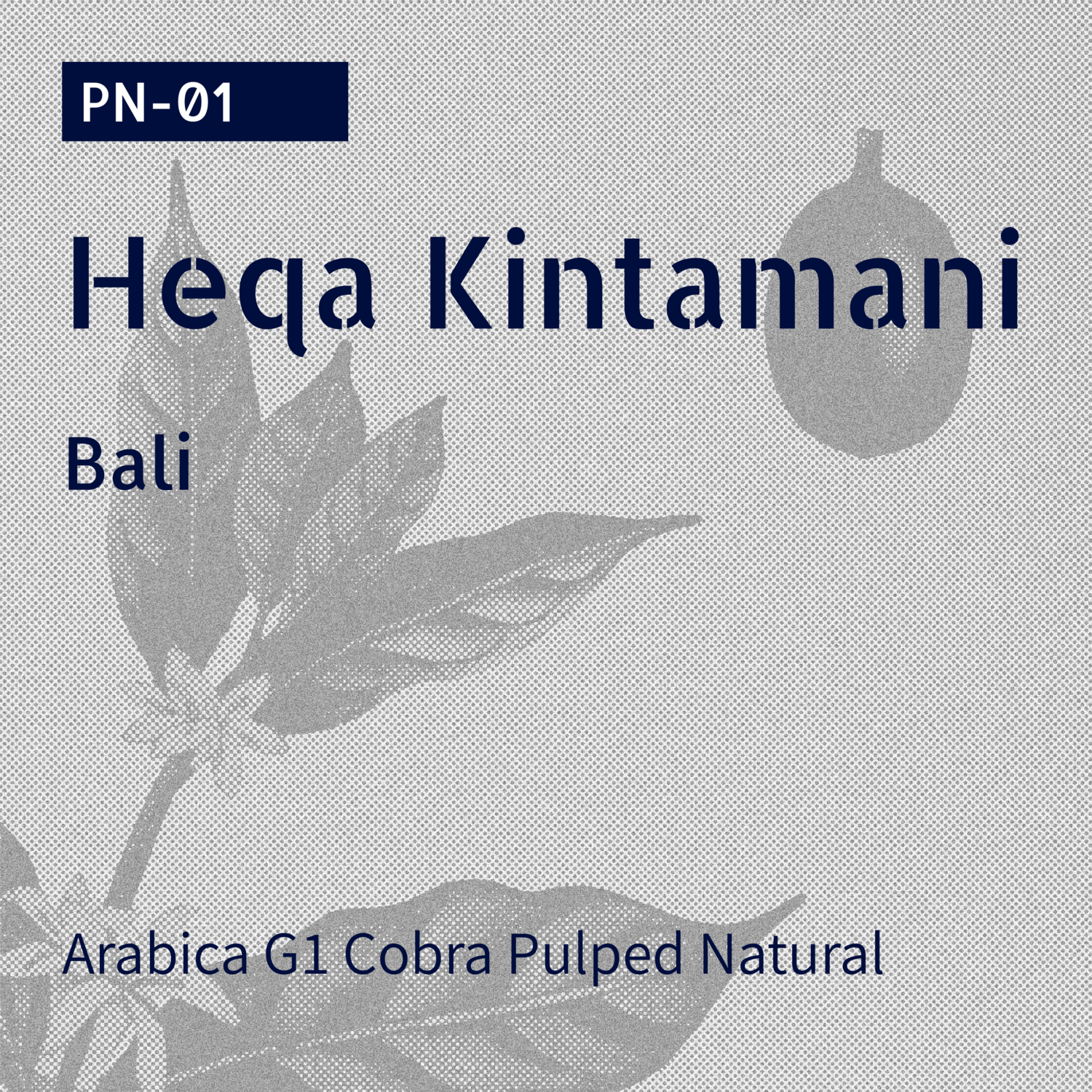 PN-01 / Cobra / Pulped Natural