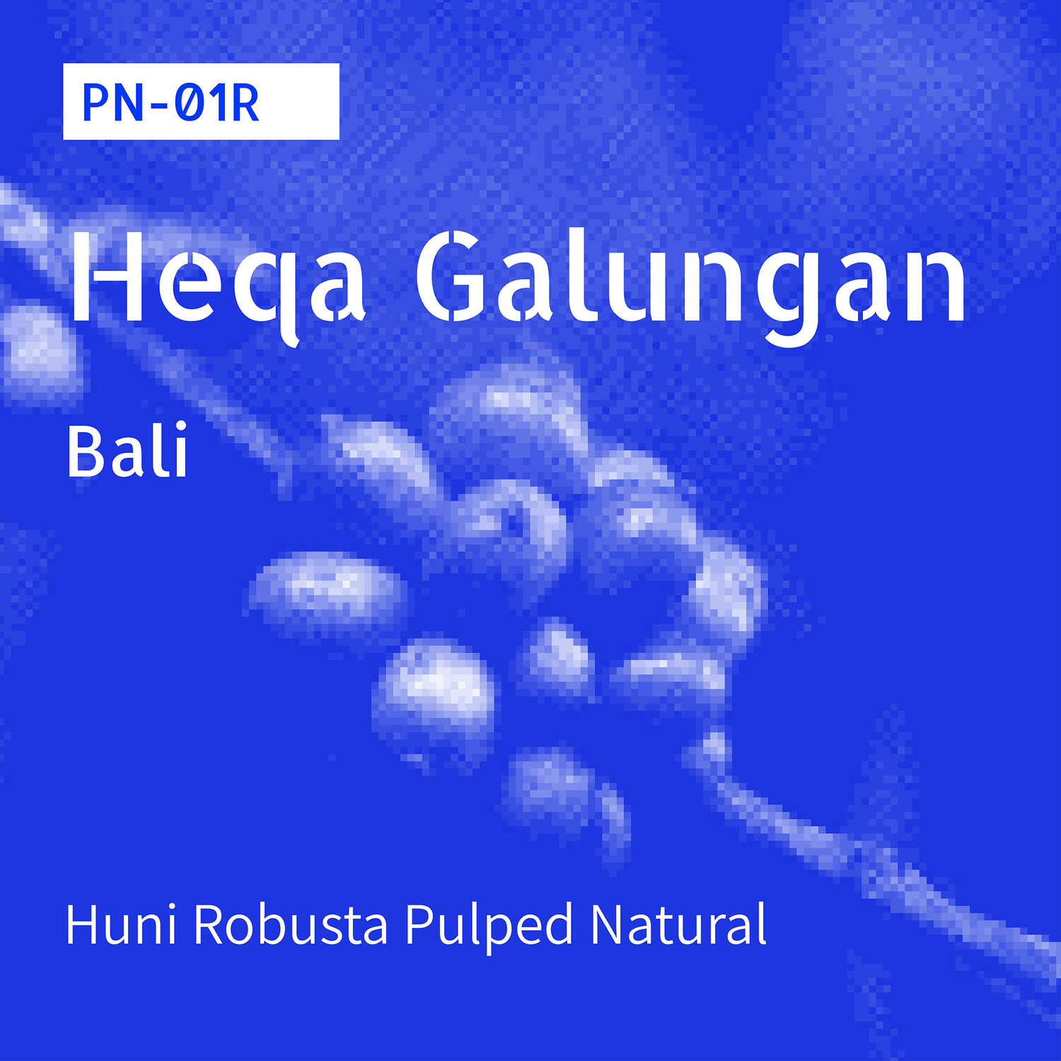 PN-01R / Robusta Huni / Pulped Natural