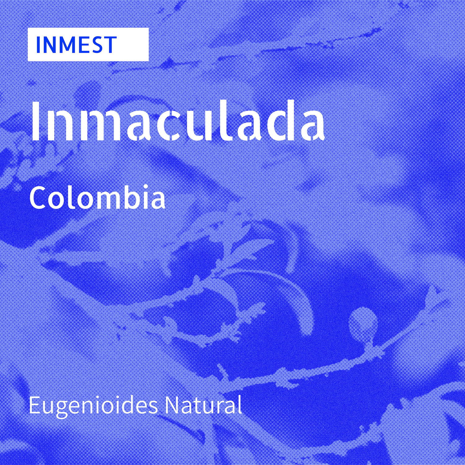 INMEST / Eugenioides / Natural-200g