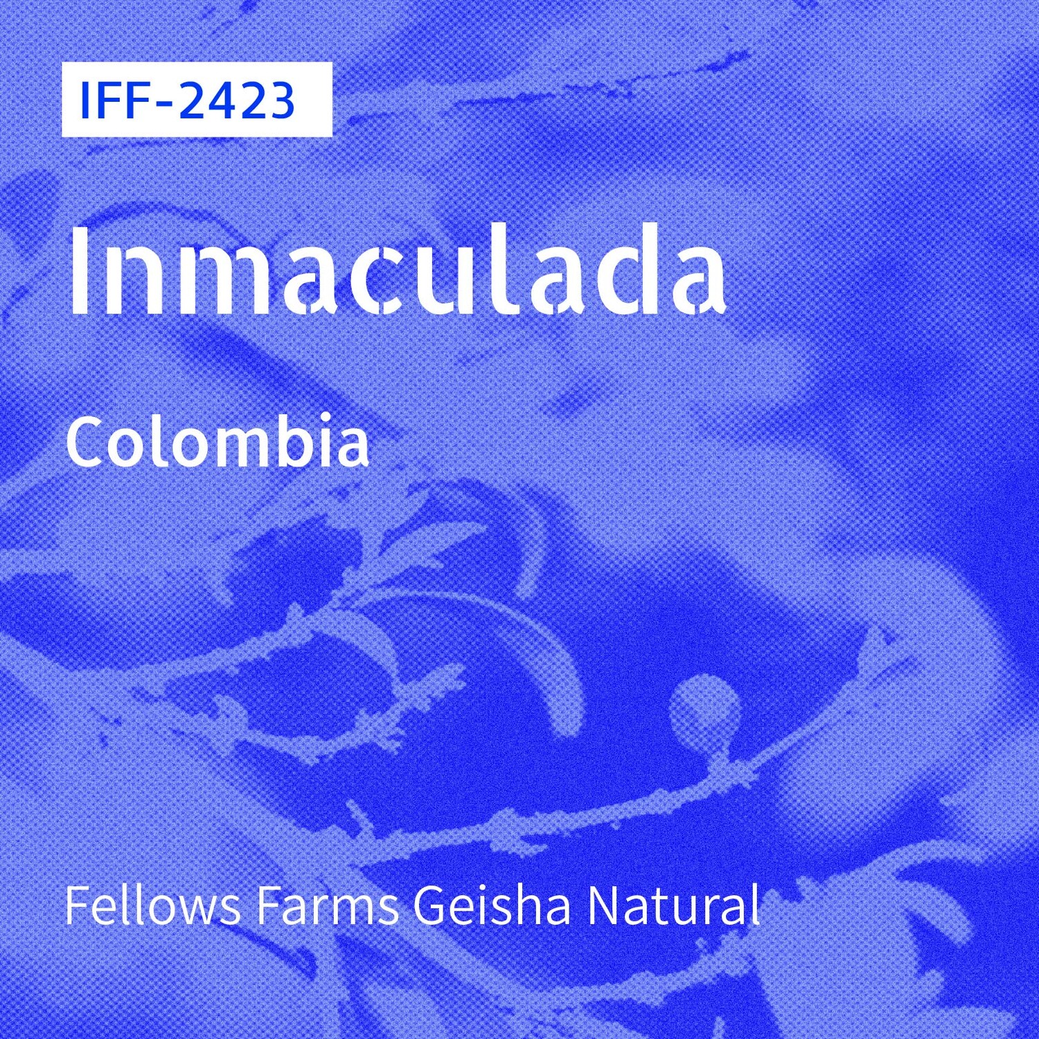 IFF-2423 / Geisha / Natural