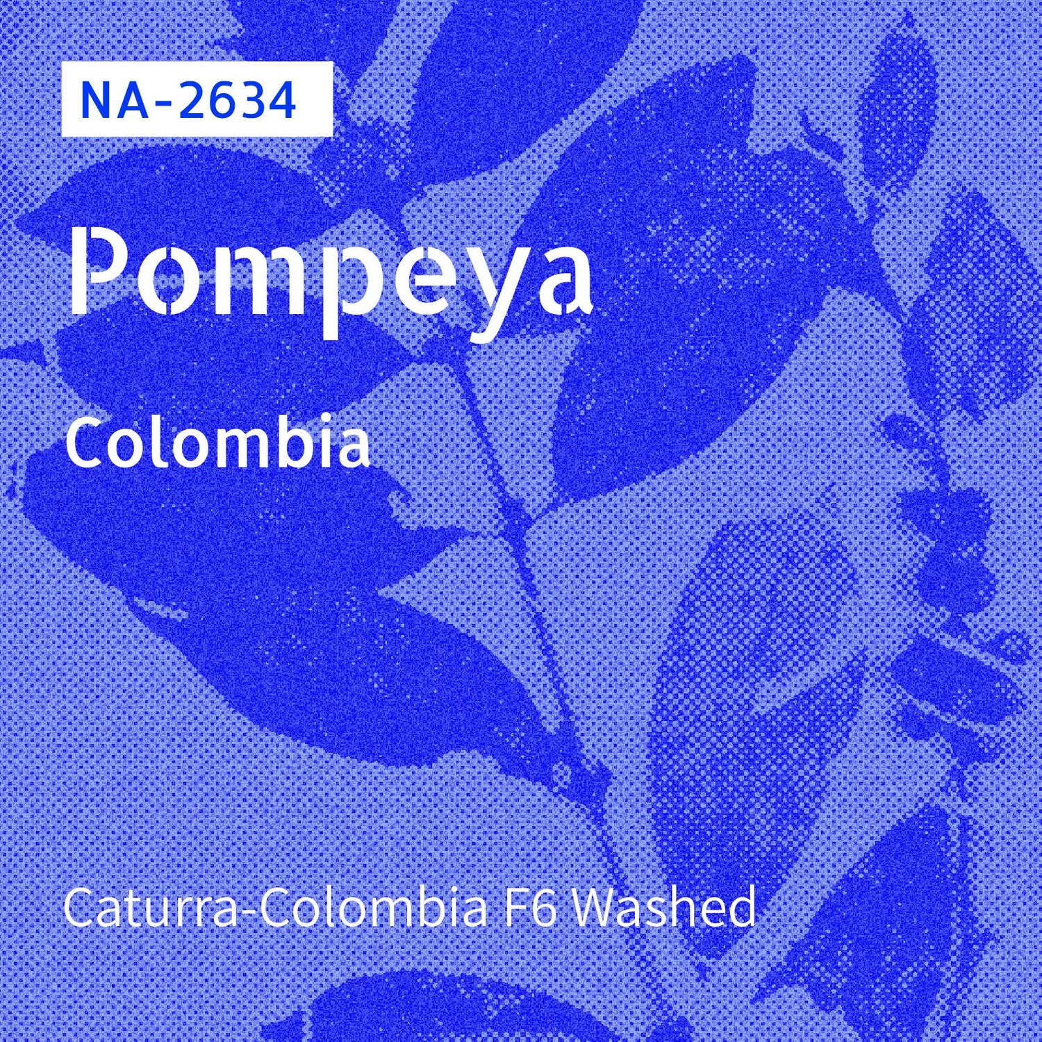 NA-2634 / Caturra-F6 / Washed