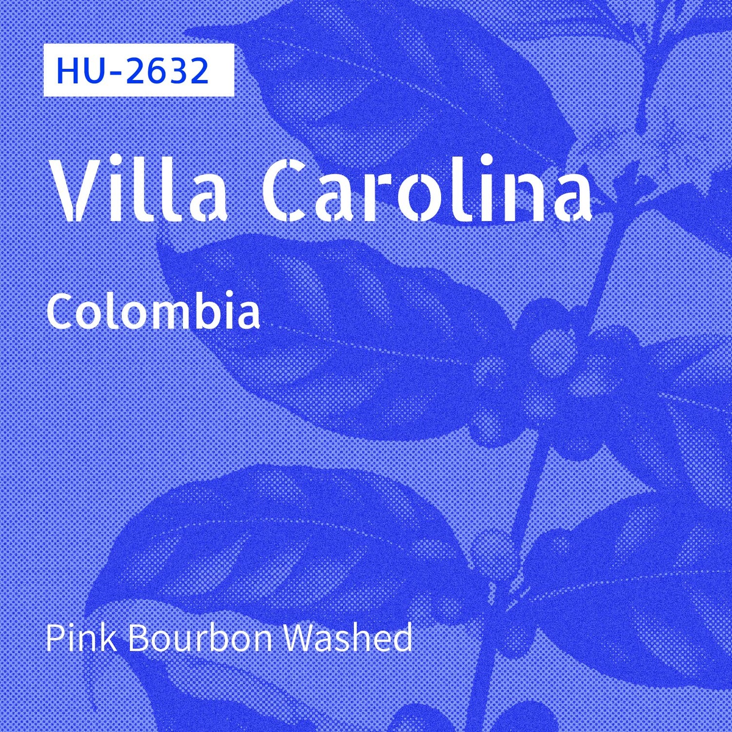 HU-2632 / Pink Bourbon / Washed