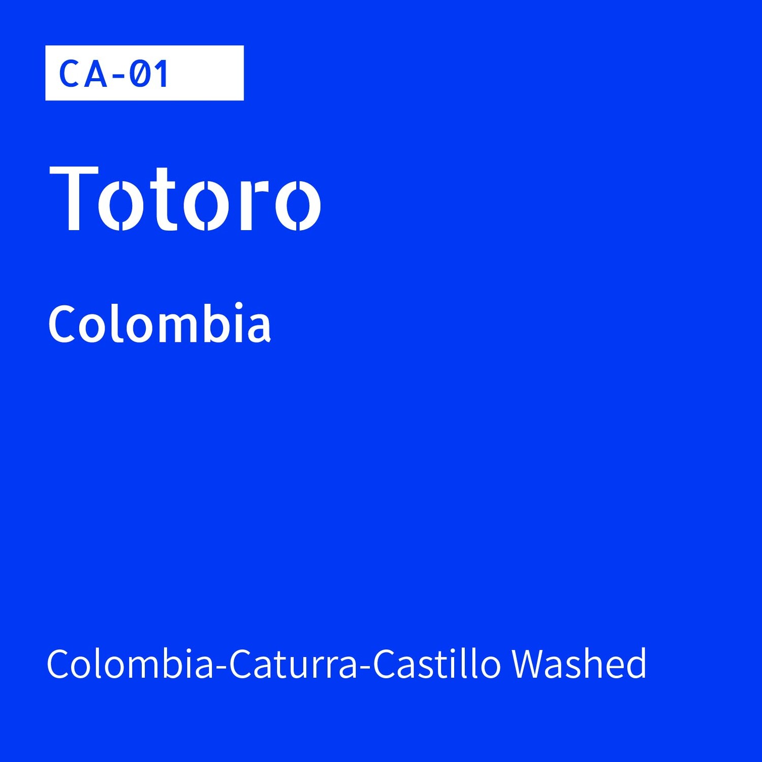 CA-01 / 다수 품종 혼합 / Washed