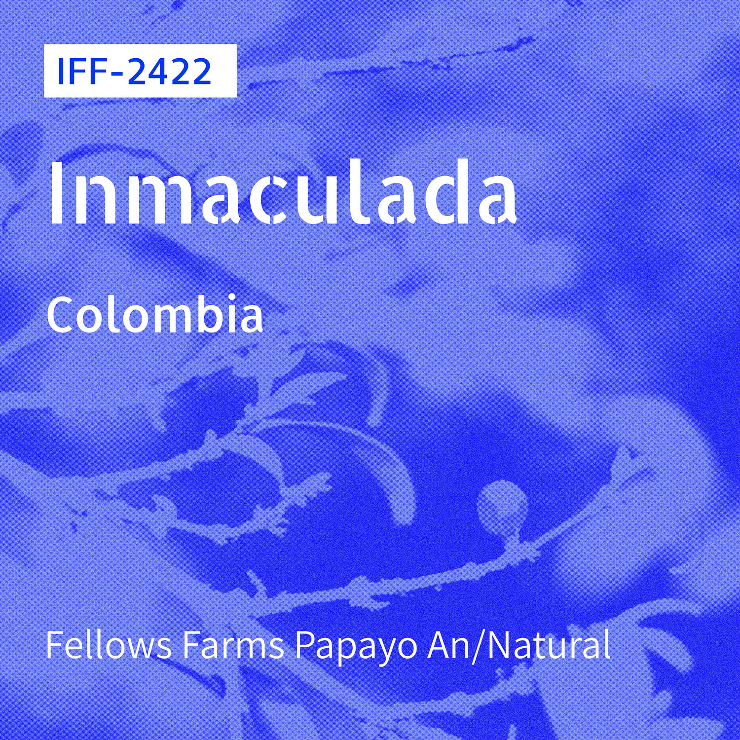 IFF-2422 / Papayo / AN-Natural