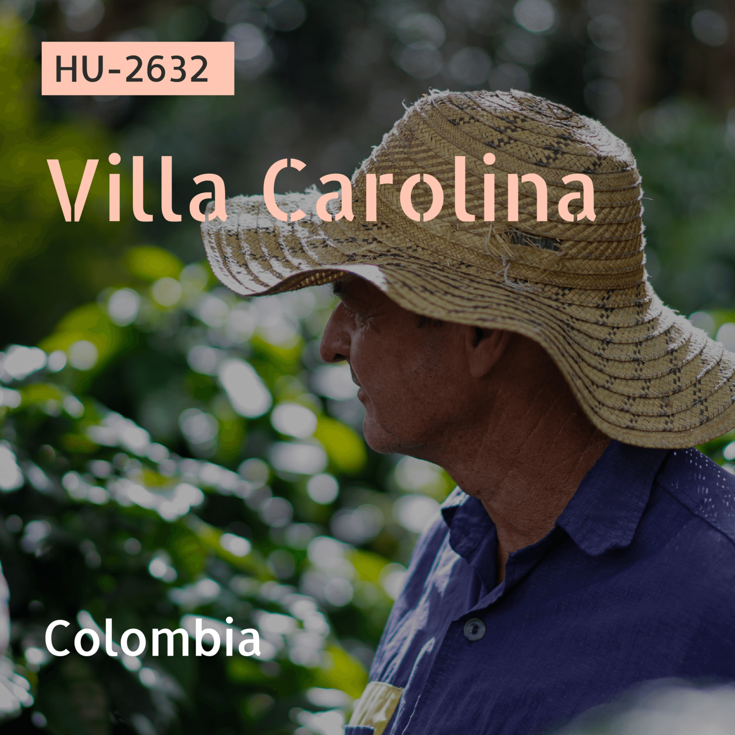 HU-2632 / Pink Bourbon / Washed