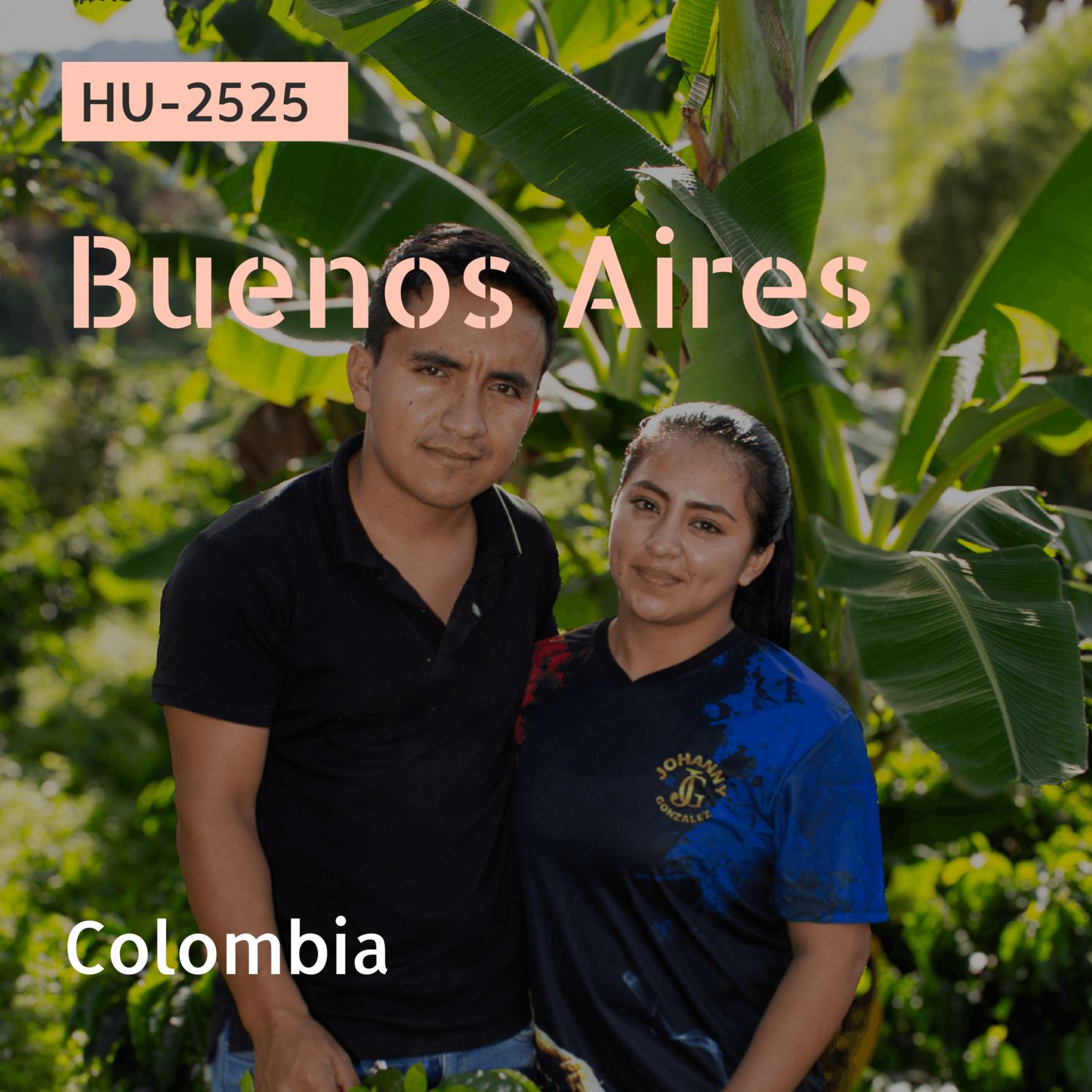 HU-2525 / Caturra / Anaerobic Natural