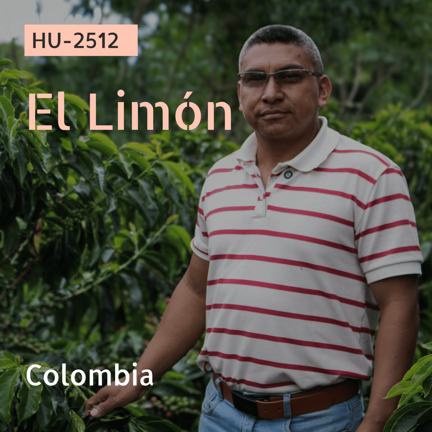 HU-2512 / 다수 품종 혼합 / Co-Fermented