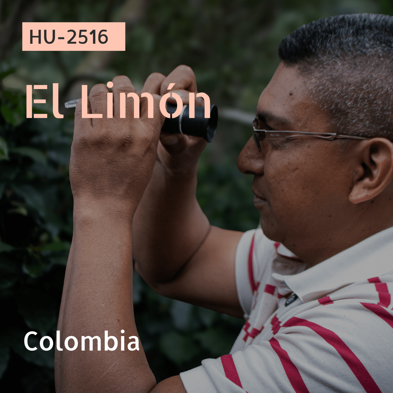 HU-2516 / 다수 품종 혼합 / Co-Fermented Washed