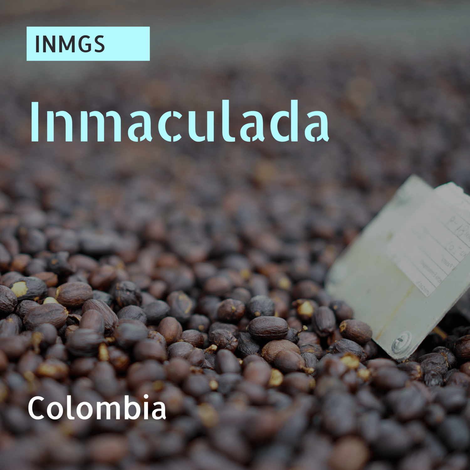 INMGS / Geisha / Natural