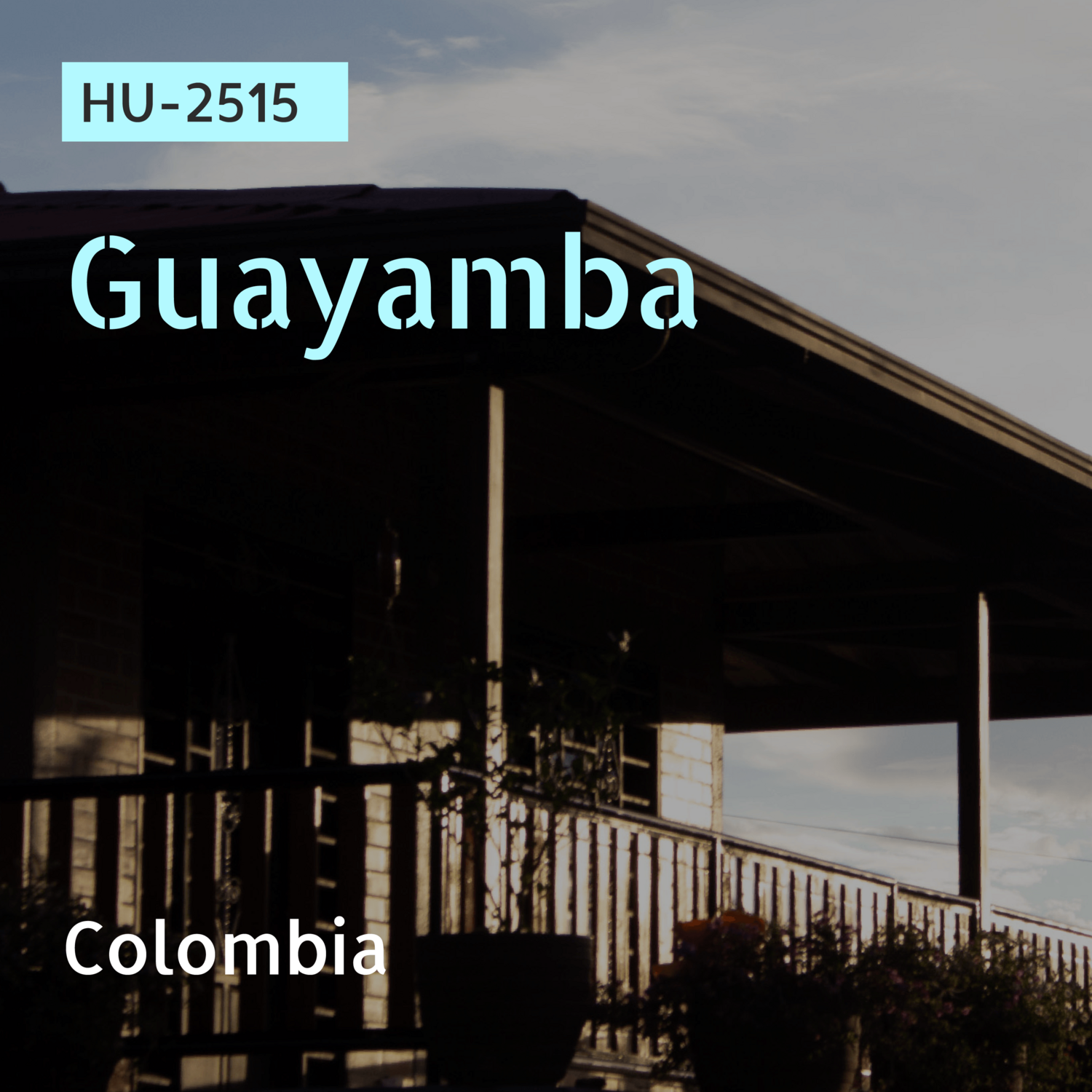 HU-2515 / Papayo / Anaerobic Natural