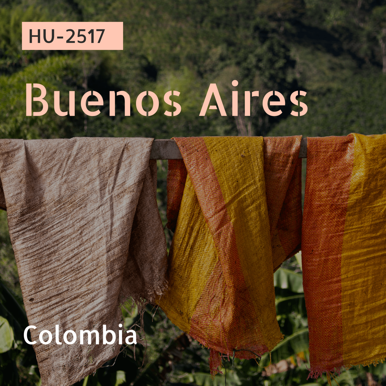 HU-2517 / Yellow Bourbon / Anaerobic Natural