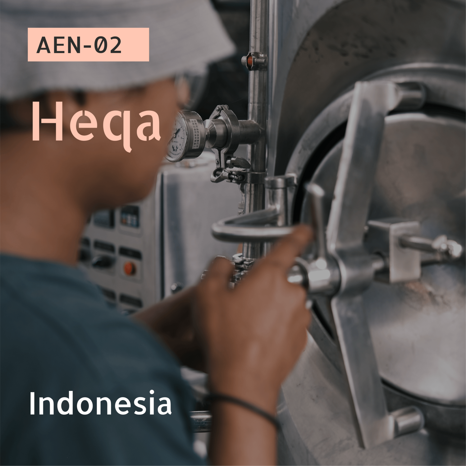 AEN-02 / Cobra / Natural