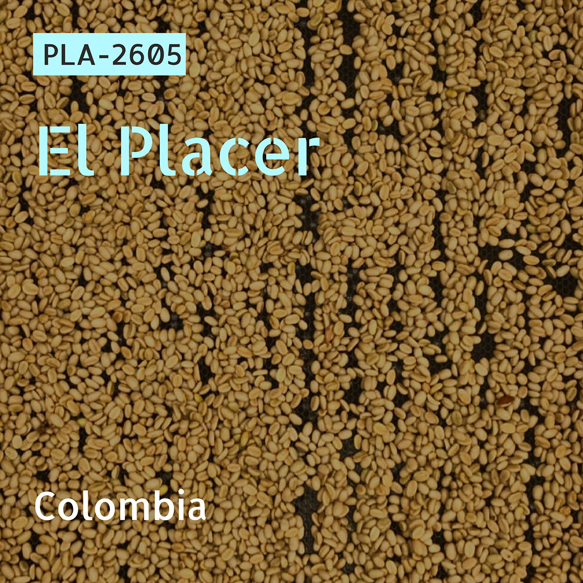 PLA-2605 /Sidra /Red Honey