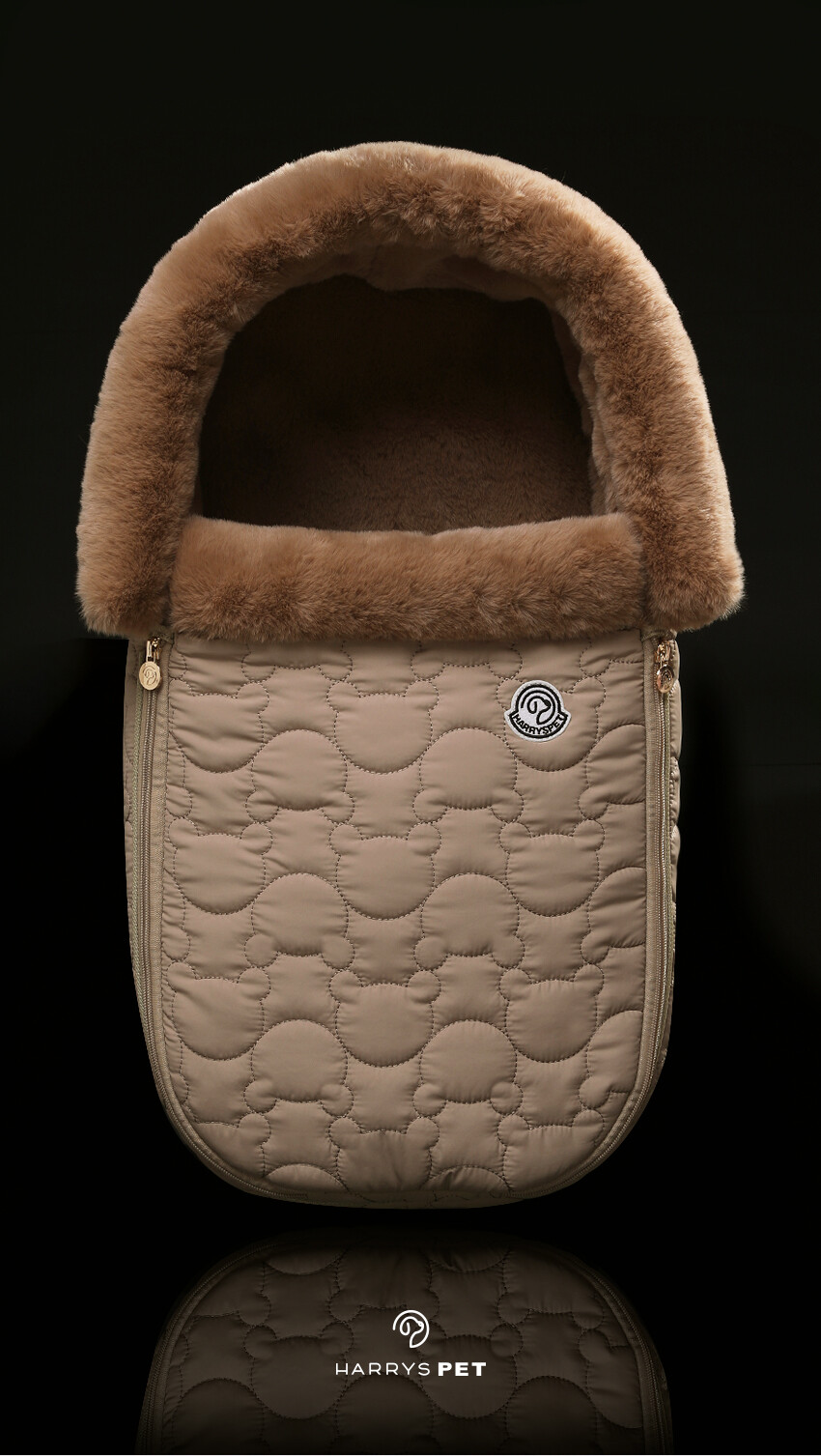 체스트넛브라운, 브라운베시넷, 체스트넛브라운베시넷, 브라운배시냇