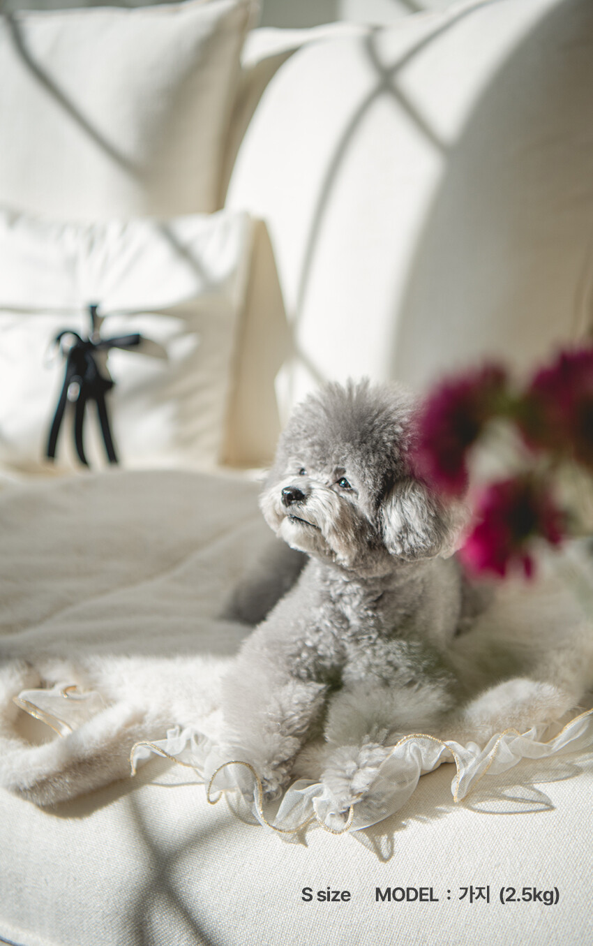 코스터안내, 코스터설명, 블랑부케코스터설명, 블랑부케코스터안내