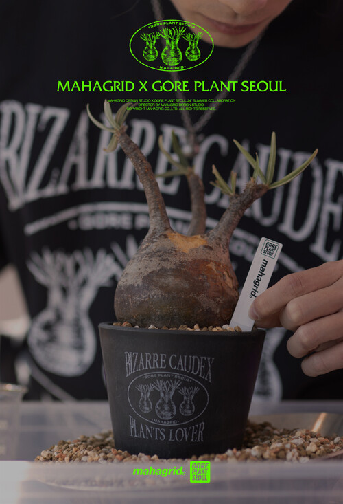 MAHAGRID | 고어플랜트서울 (GORE PLANT SEOUL)