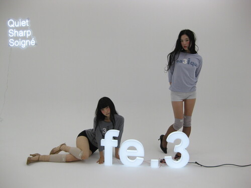 faerie 샵 페어리