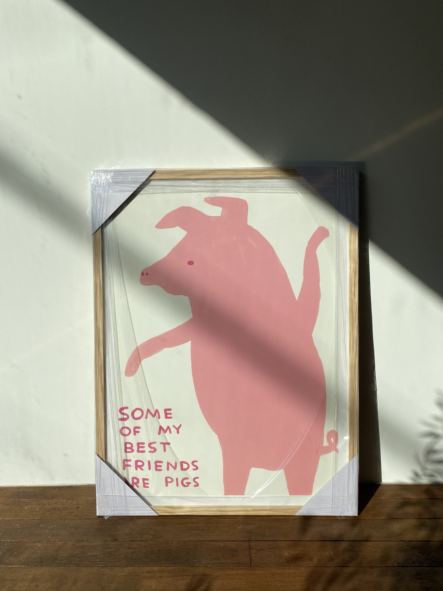 David Shrigley - Some Of My Best Friends Are Pigs