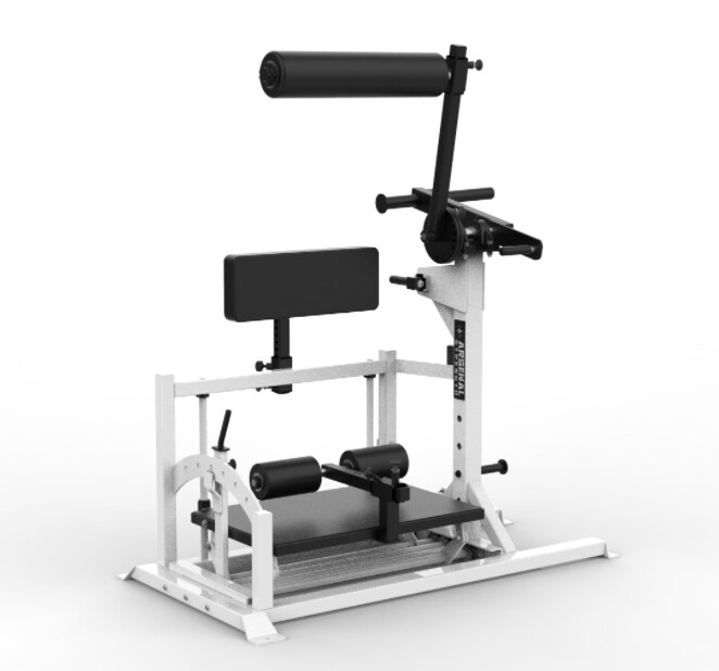 RELOADED POSTERIOR CHAIN DEVELOPER