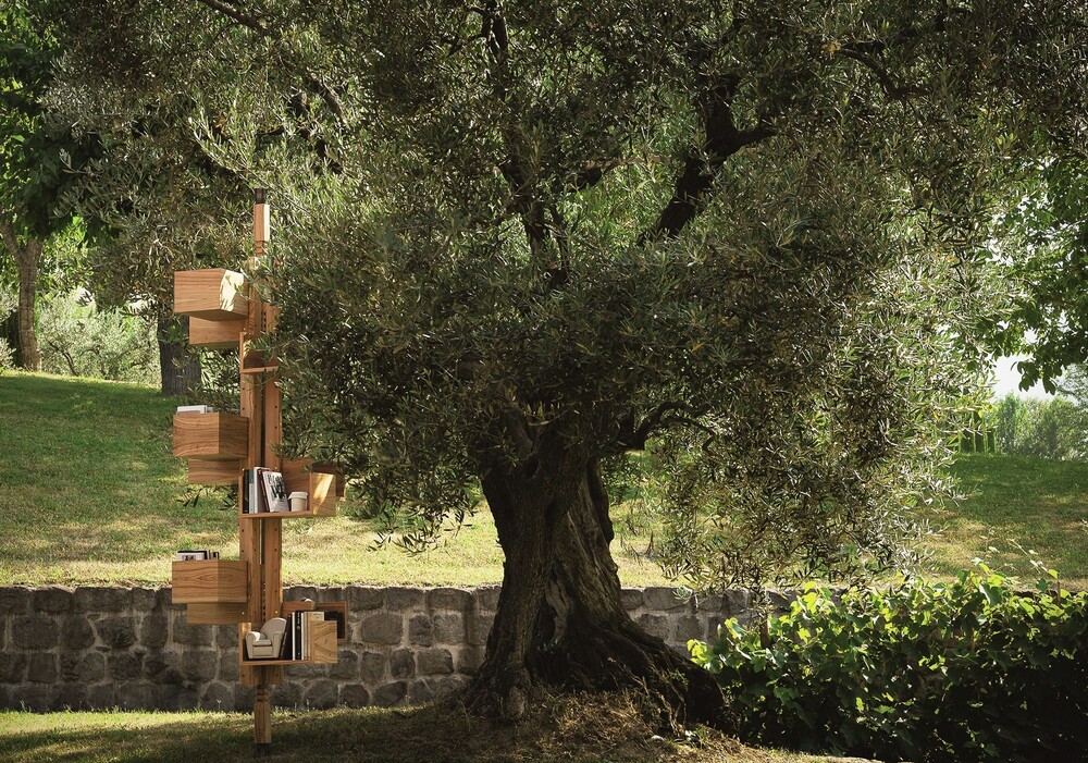 Albero