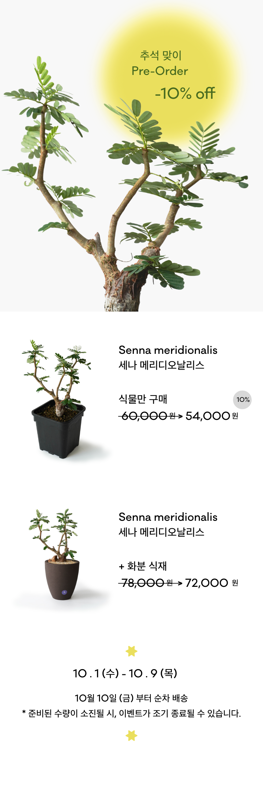 caretip-polypodiaceae