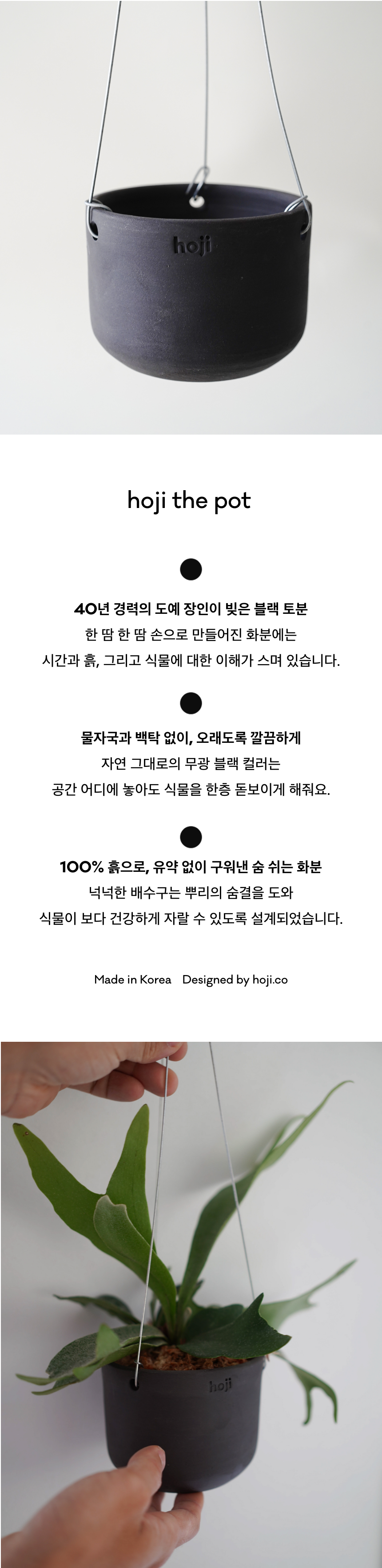 립살리스 키우기 실내 식물 테라코타 화분 공기정화 행잉