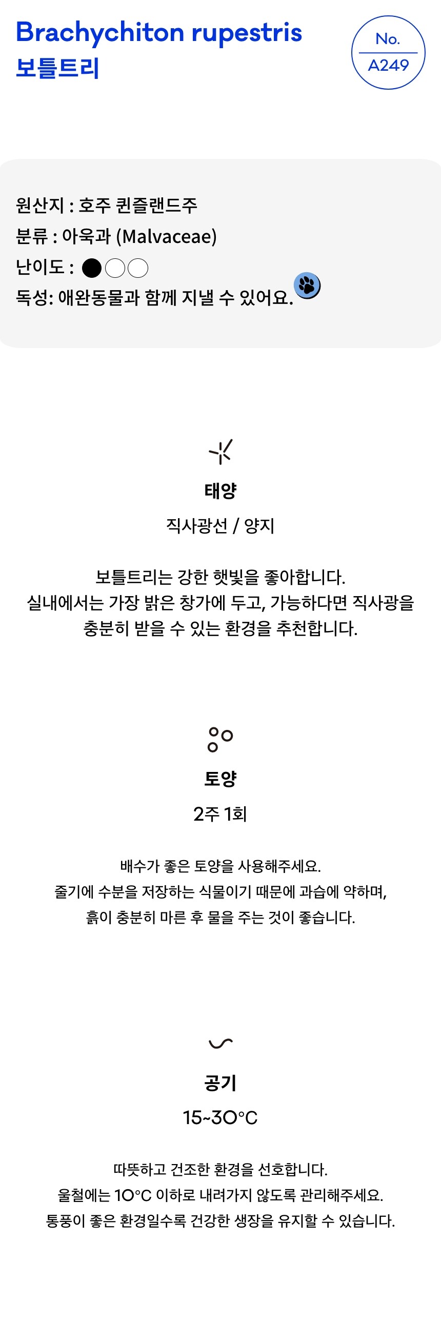 호지 hoji 보틀트리 bottle tree 플랜테리어
