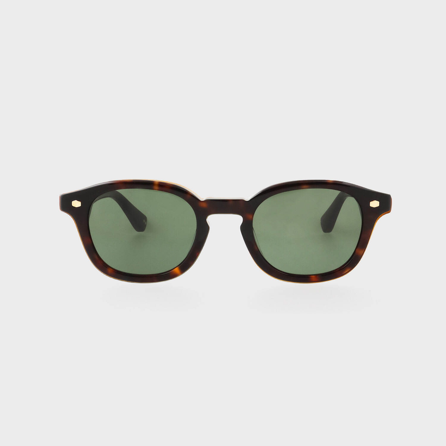 BRO621_tortoise