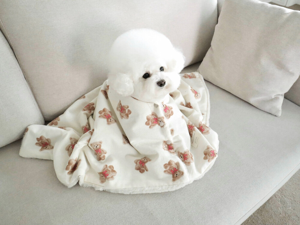 [3차] NEW BEAR FUR BLANKET