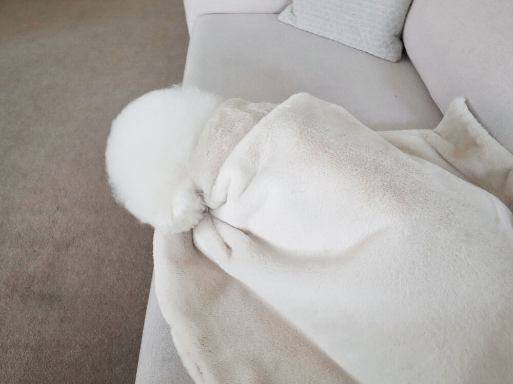 [3차] NEW BEAR FUR BLANKET