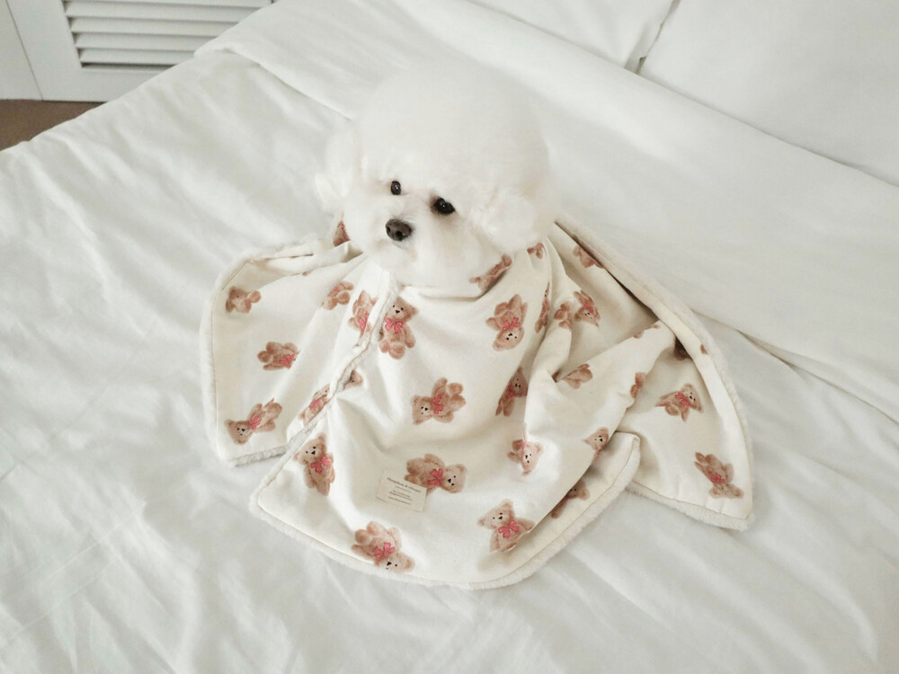 [3차] NEW BEAR FUR BLANKET
