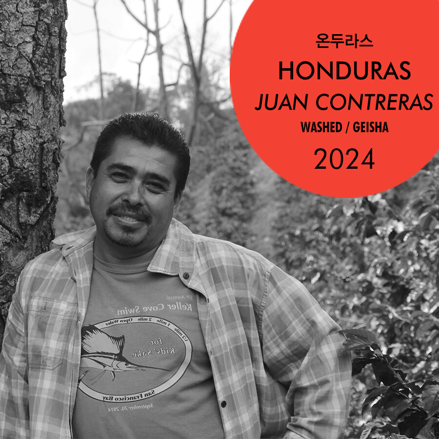 2024 온두라스 후안 콘트레라스 게이샤(SAMPLE)
