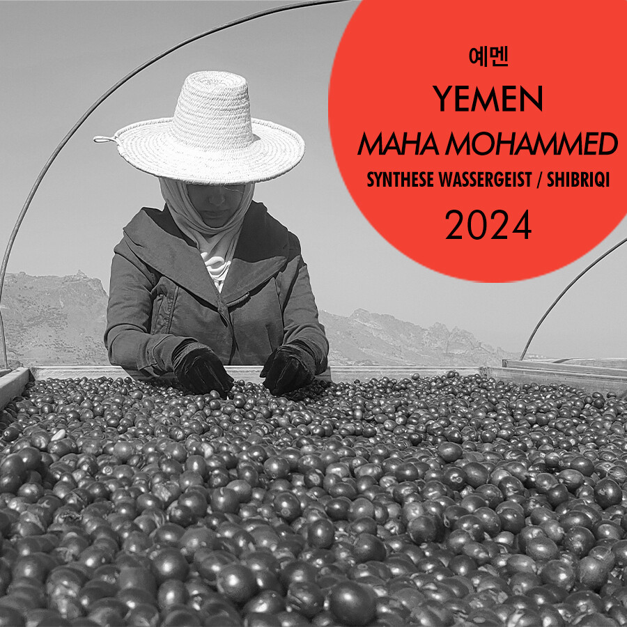 2024 예멘 마하 모하메드 진테제 바서가이스트