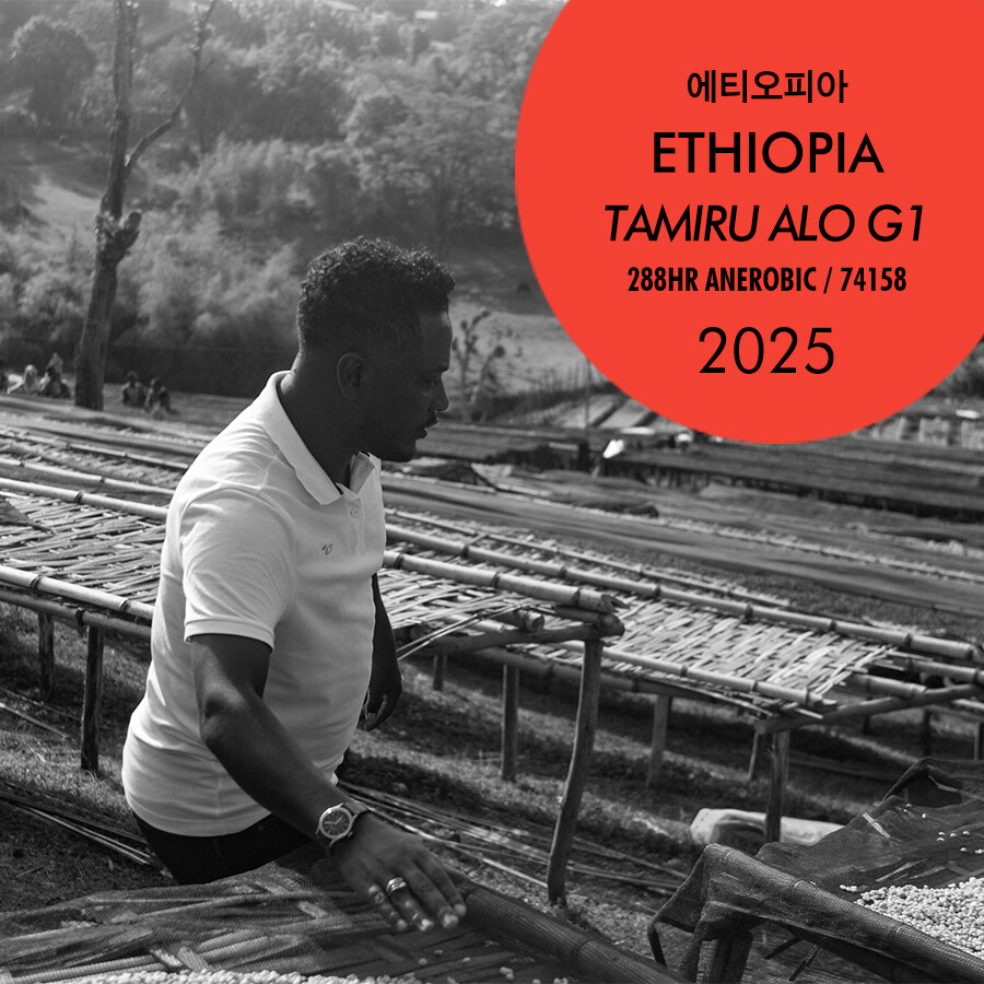 2025 에티오피아 타미루 알로 G1 288hr 무산소발효(Air)