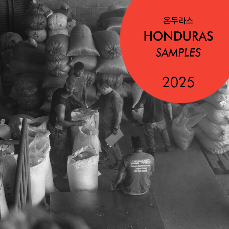 2025 온두라스 샘플 구매하기