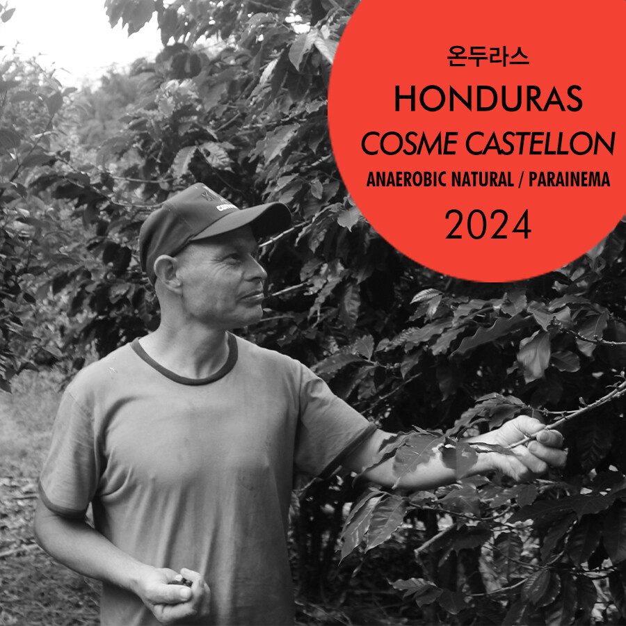 2024 온두라스 코스메 카스테욘(SAMPLE)