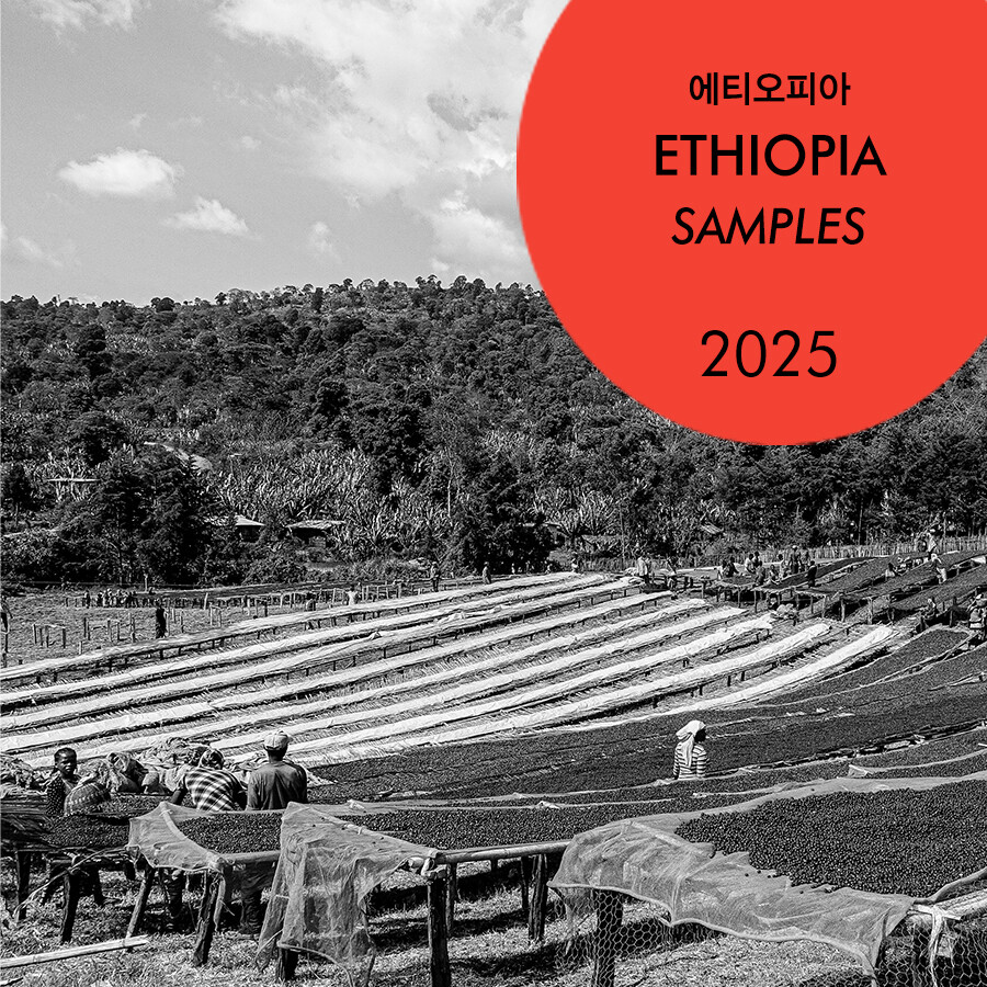2025 에티오피아 샘플 구매하기