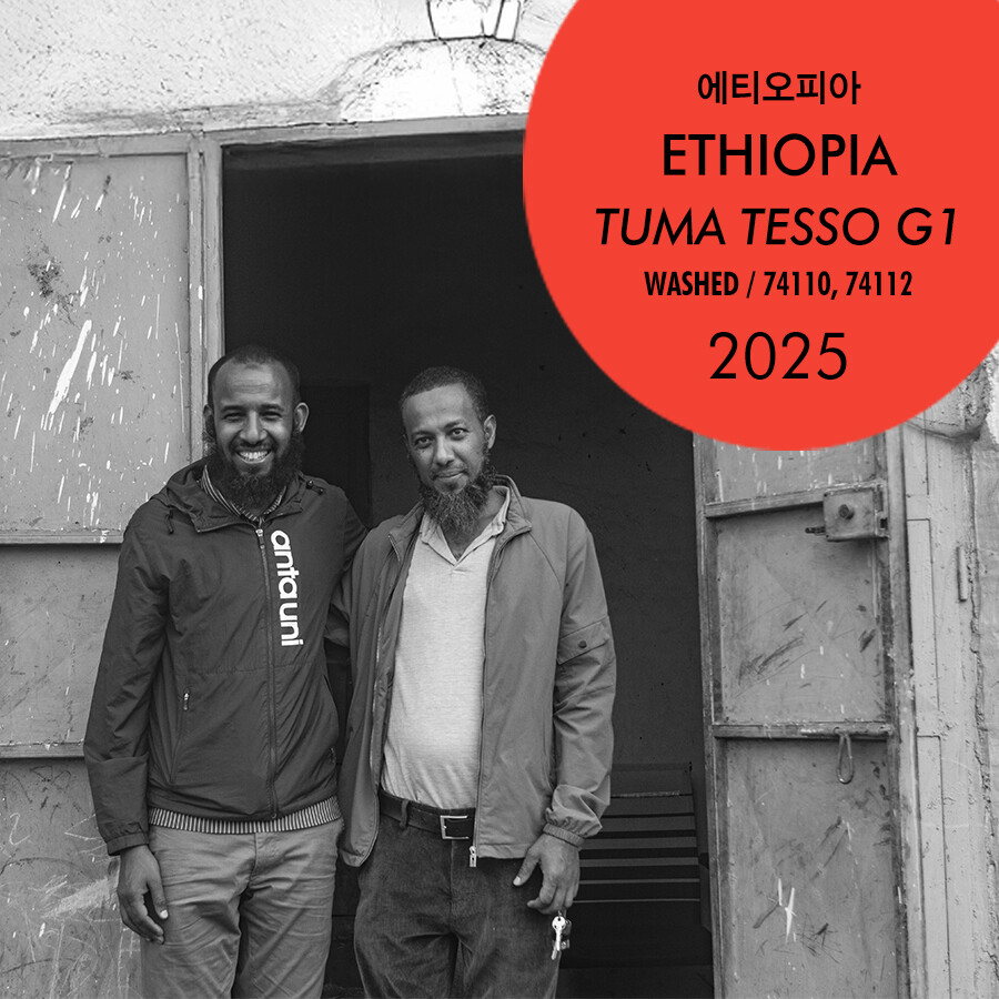 2025 에티오피아 투마 테소 G1 워시드