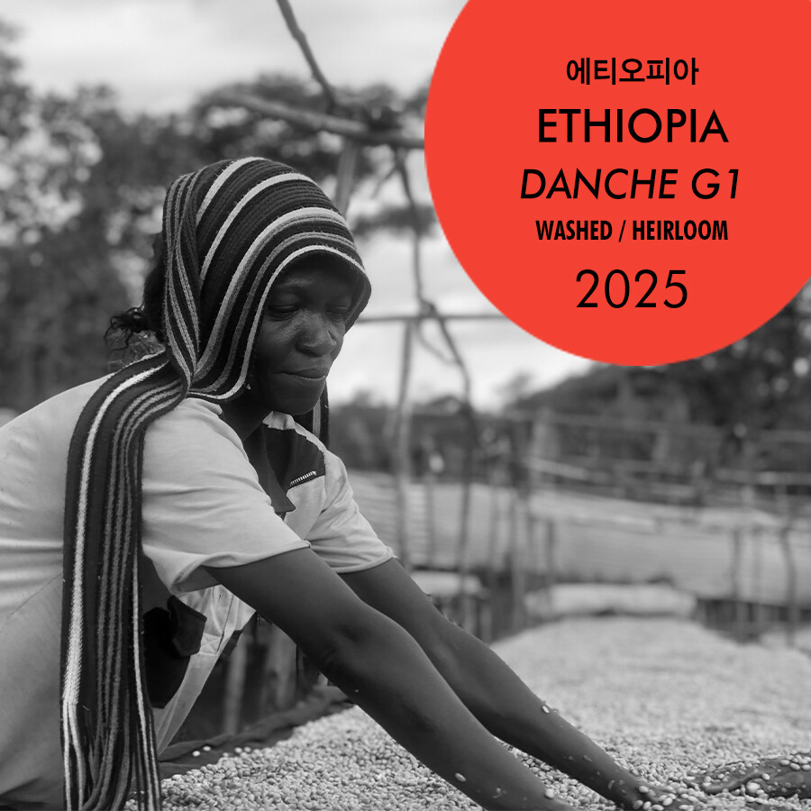 2025 에티오피아 단체 G1 워시드