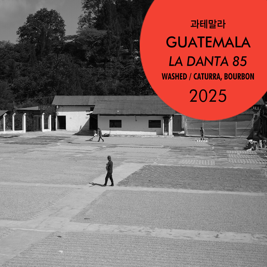 2025 과테말라 라 단타